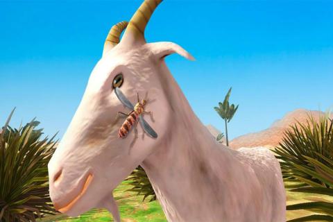 蚊子模拟器3D修改版截图(2)