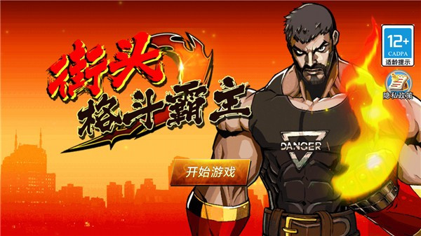 街头格斗霸主截图(3)