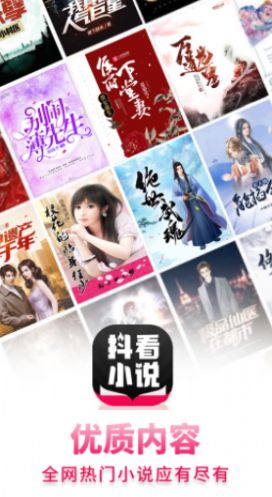 抖看小说截图(1)