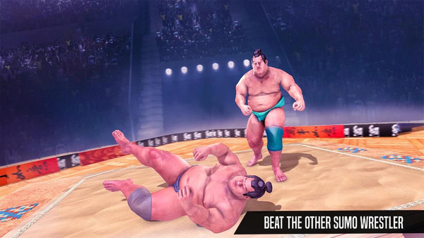相扑摔跤手2022截图(1)