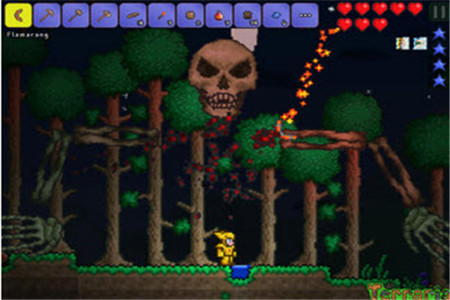 泰拉瑞亚1.3手机版截图(2)