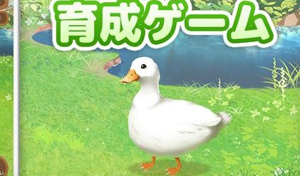 鸭子培养截图(4)