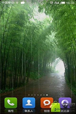 意境竹林绿豆秀秀动态壁纸截图(6)
