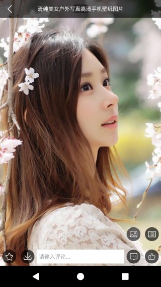 壁纸印象截图(3)