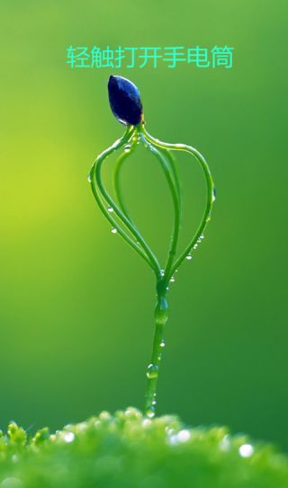 护眼手电筒截图(1)