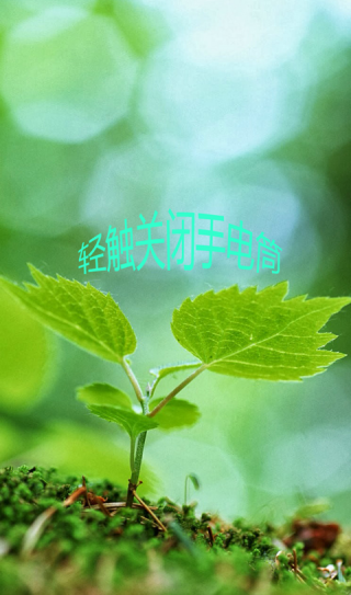 护眼手电筒截图(2)