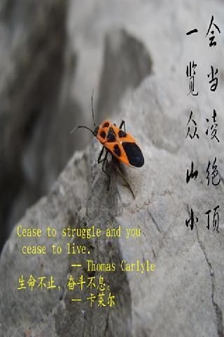 六级考研英语词汇大围剿截图(4)