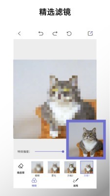 特效马赛克截图(3)