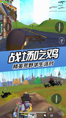 真实吃鸡模拟器截图(3)