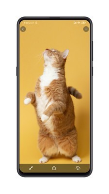 纸塘壁纸截图(3)