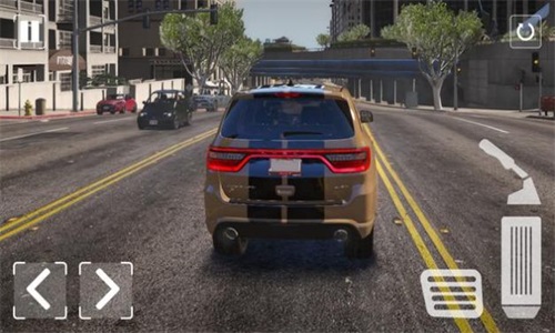 杜兰戈模拟器截图(1)