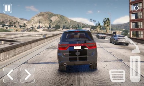 杜兰戈模拟器截图(2)