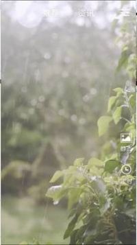 助眠多多截图(4)