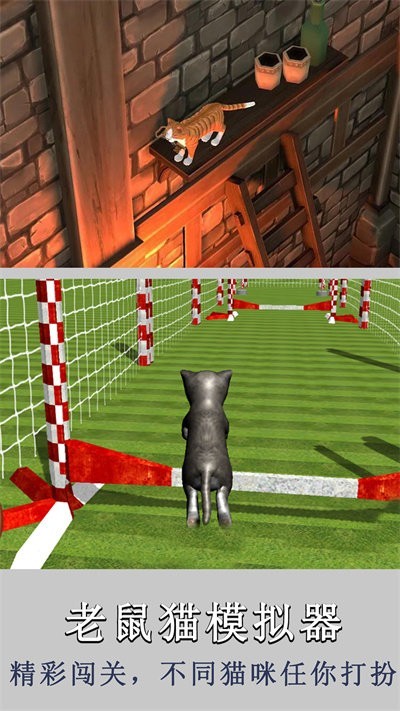 老鼠猫模拟器截图(2)