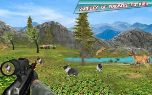 兔子狩猎模拟器截图(1)