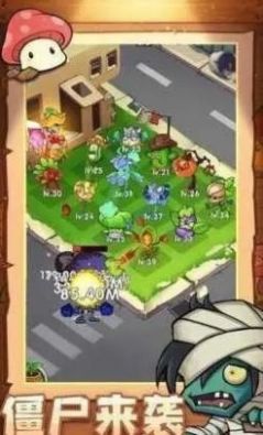 植物炮打僵尸截图(4)