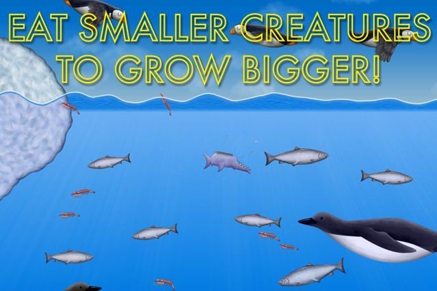 金鱼模拟器截图(3)