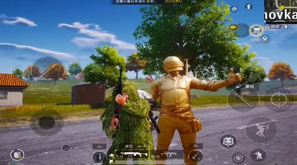 吃鸡：生存作战截图(1)