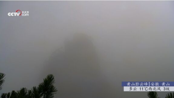 秒看电视纯净版截图(1)