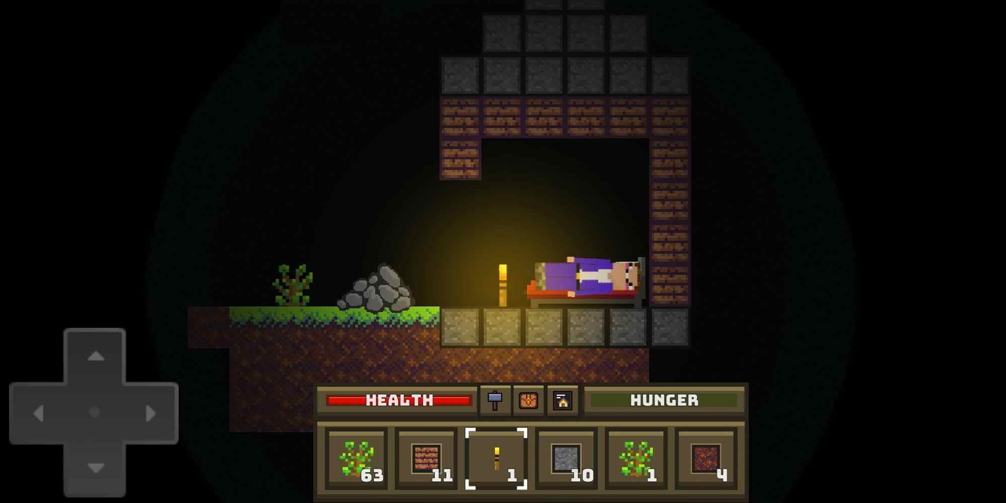 菜鸟生存模拟器截图(2)