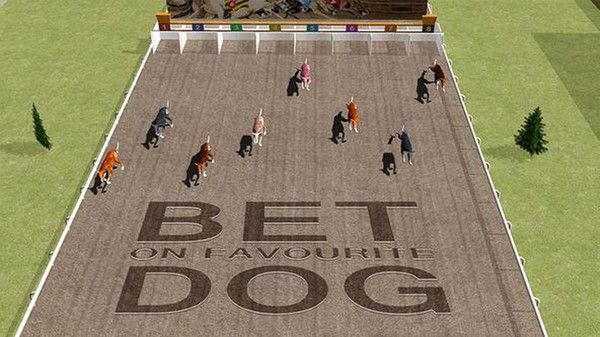 赛狗模拟器3D截图(1)