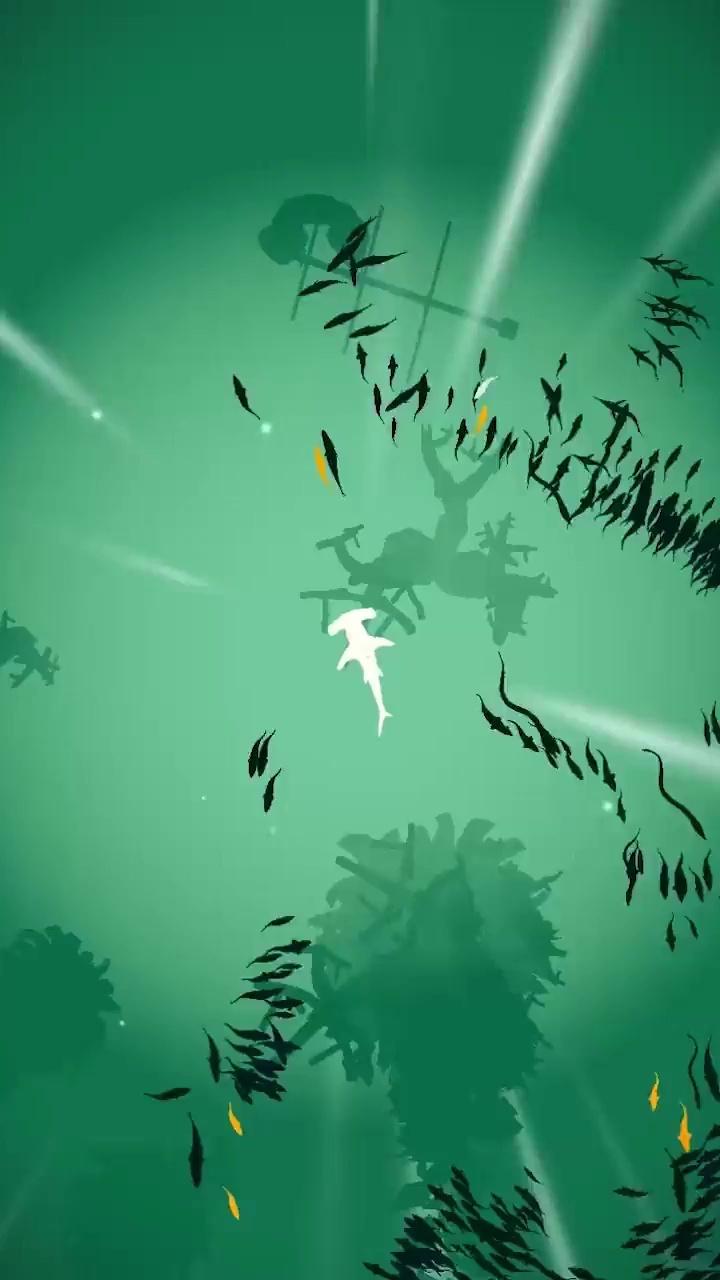 鲨鱼来了截图(4)