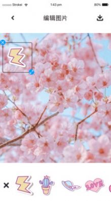 P图照片处理截图(4)