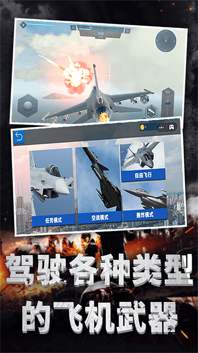 极限飞机驾驶截图(3)