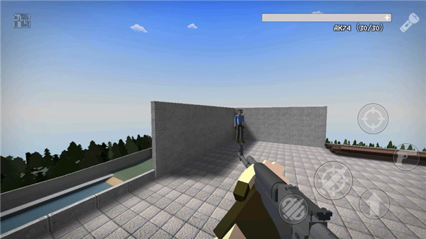 暴力沙盒2截图(4)