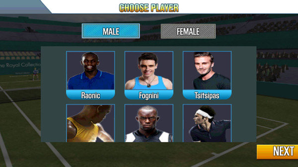 网球冠军3D截图(3)