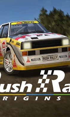 拉力竞速起源联机版截图(4)