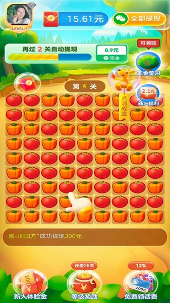 欢乐消消消截图(3)