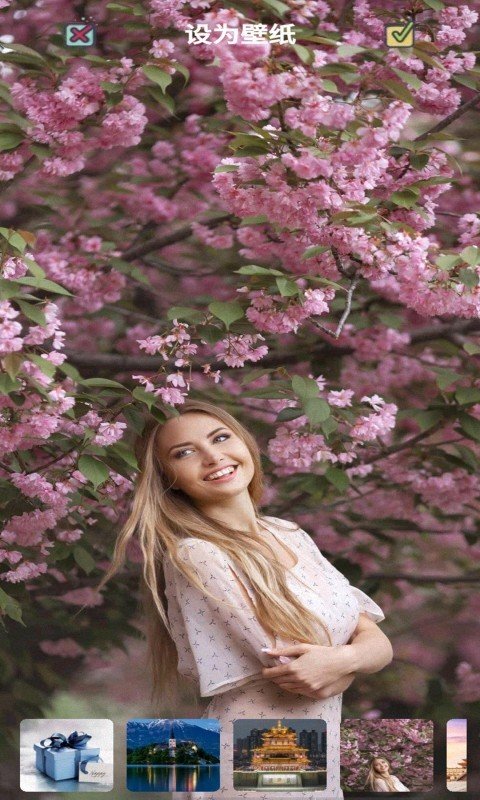 我的迷你壁纸截图(1)