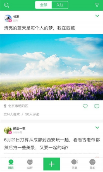 大树旅行截图(1)