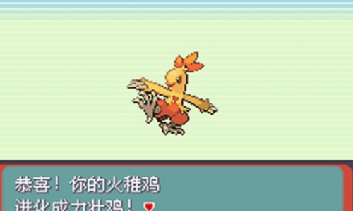 口袋妖怪：绿宝石增强版截图(4)