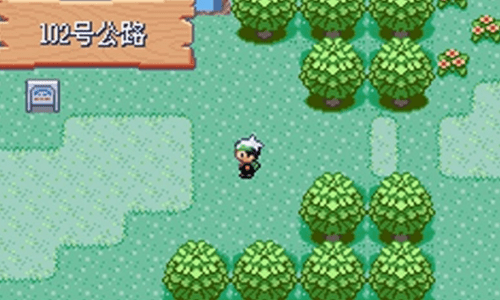 口袋妖怪：绿宝石增强版截图(3)