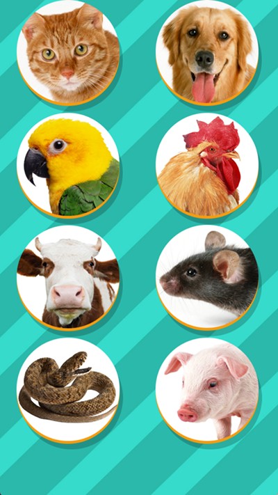 宠物对话翻译器截图(3)