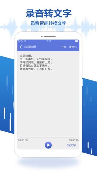录音王转文字截图(3)