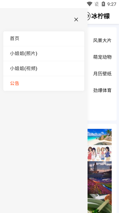 冰柠檬壁纸截图(3)