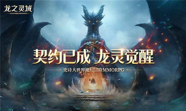 龙之灵域截图(3)