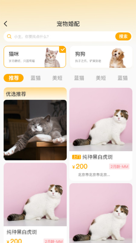 喵鑫球宠物截图(3)