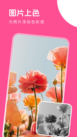 萌喵相机截图(4)