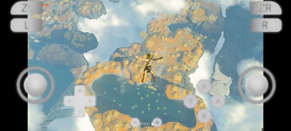 柚子模拟器截图(4)