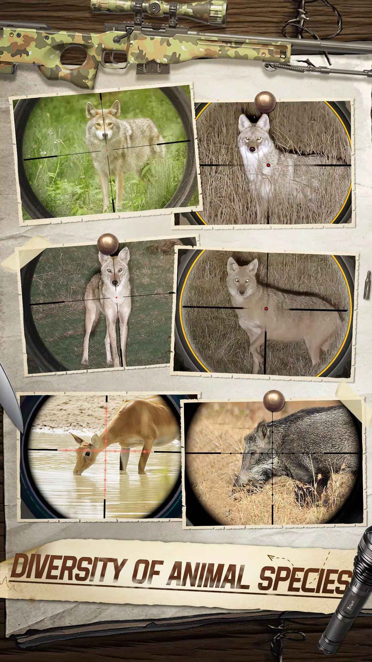 狙击手狩猎大师截图(3)