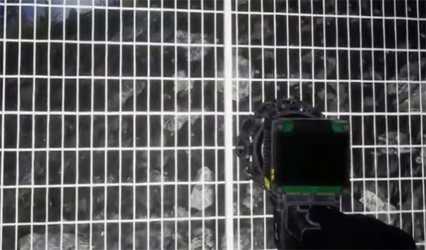 诡异的动物园截图(2)