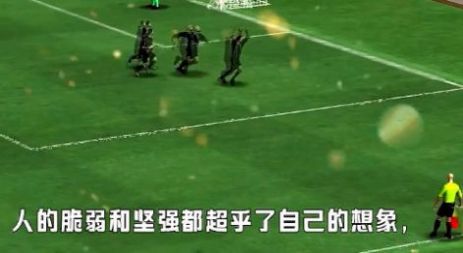 我的足球总决赛截图(3)