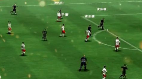 我的足球总决赛截图(2)