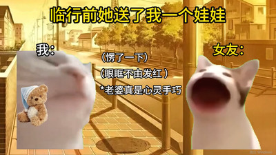 猫meme搞怪冒险截图(2)