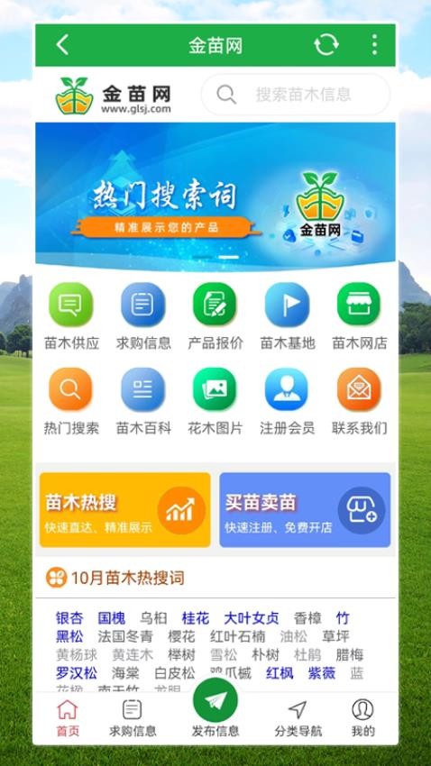 金苗网截图(2)