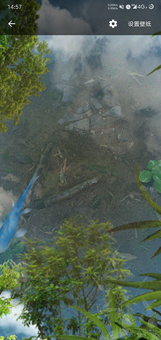 鱼池动态壁纸截图(3)